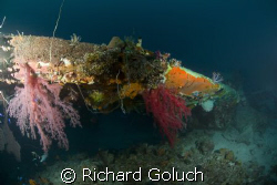Betty bomber-Truk Lagoon-"Wing in Paradise" by Richard Goluch 
